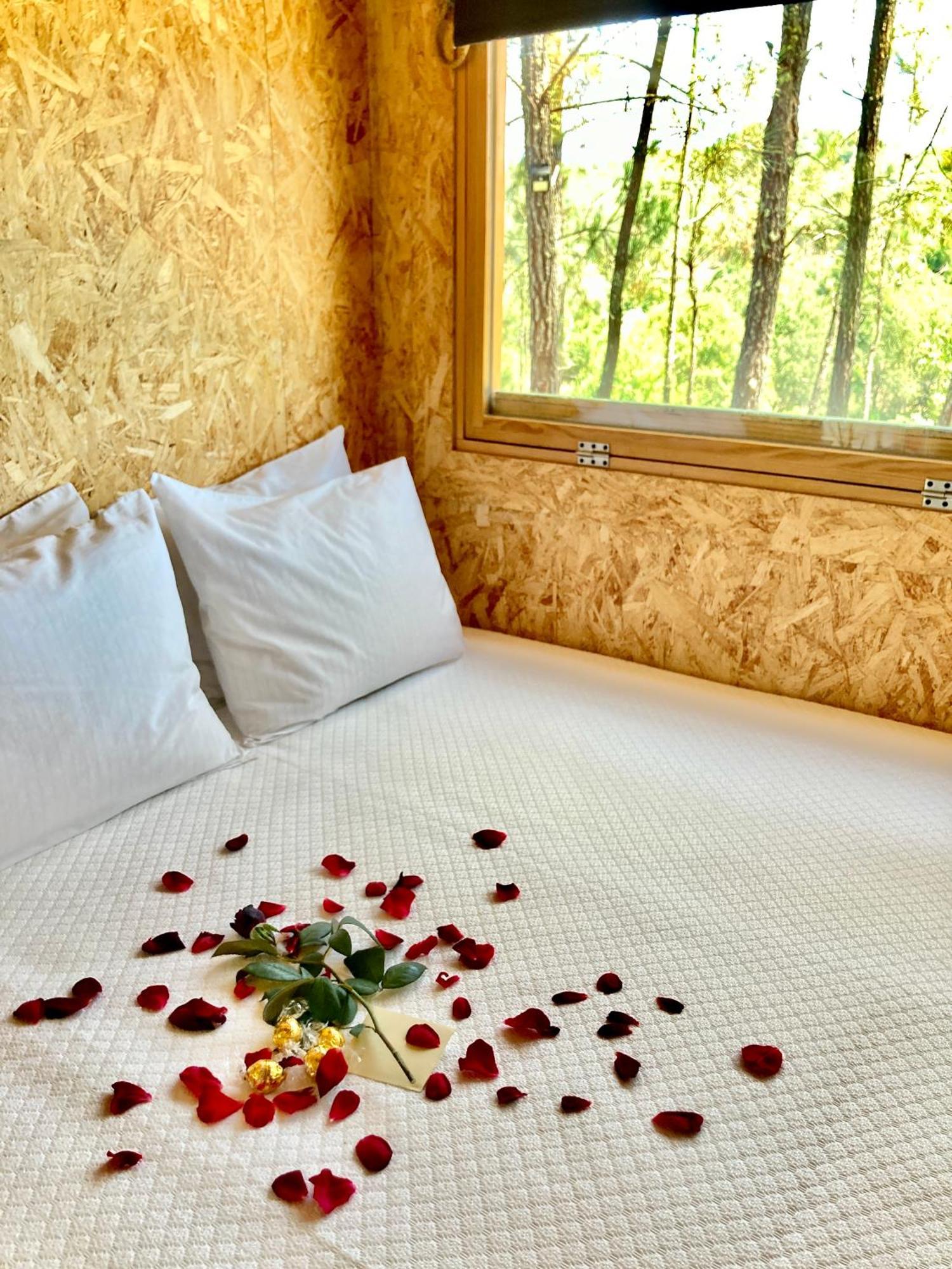 Вилла Relax Container Агиар-да-Бейра Экстерьер фото