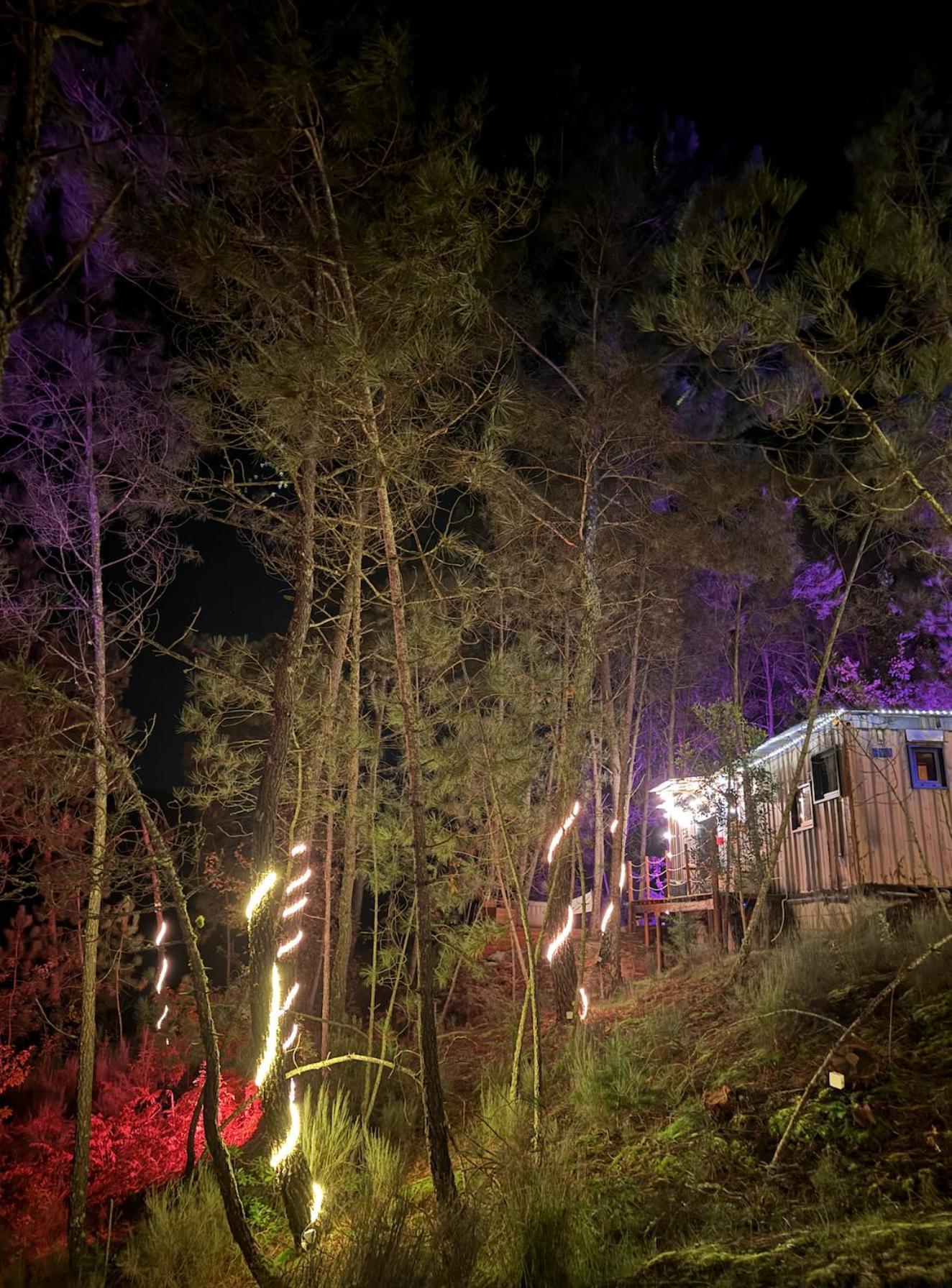 Вилла Relax Container Агиар-да-Бейра Экстерьер фото